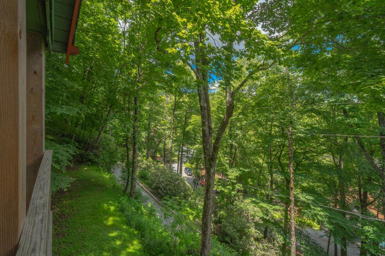 Swiss Mountain Village Blowing Rock Dış mekan fotoğraf